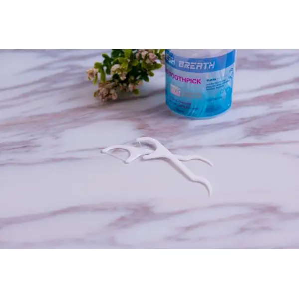 Floss Toothpick Dental Floss Pick(3).png
