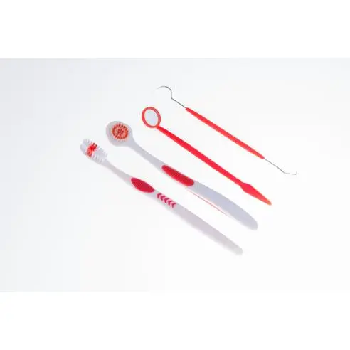 Private Label Oral Hygiene Care Kit  (3).png