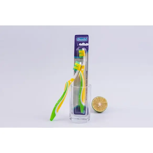 Adult Toothbrush(2).png